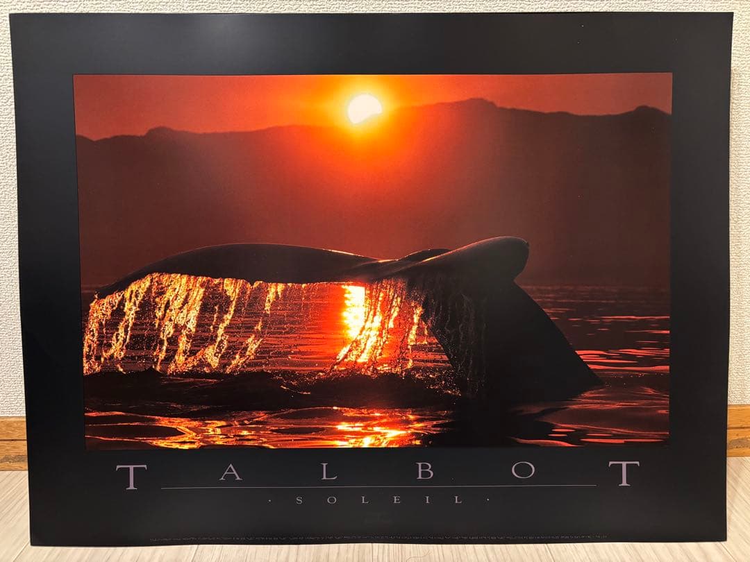 Bob Talbot 80s vintage poster 12種セット
