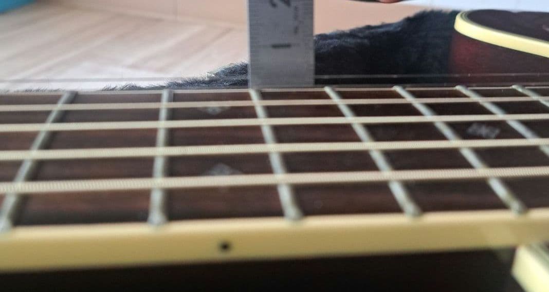 Takamine DMP551C WR アコースティックギター