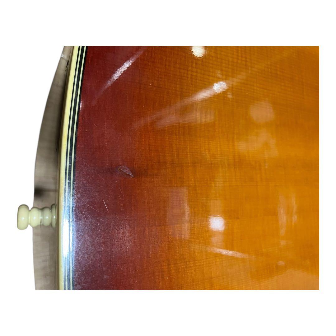 MORRIS/モーリス アコースティックギター MG-301RBS 弦楽器