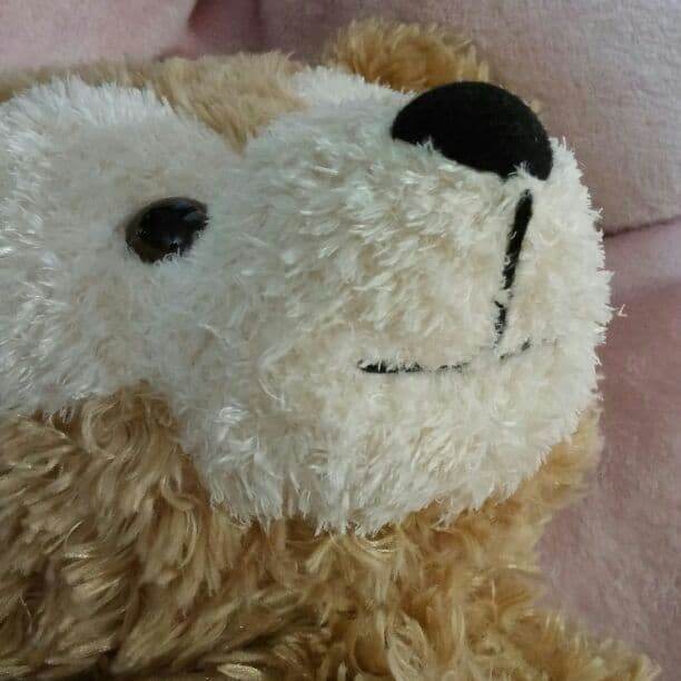 irh. 様　ご確認ページ