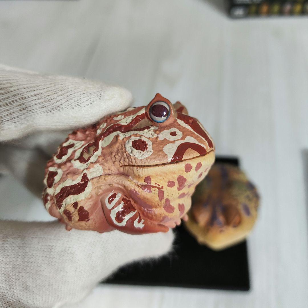 【動物の惑星】スーパーレア!韓国限定リリー&150体限定カエル!! フィギュア