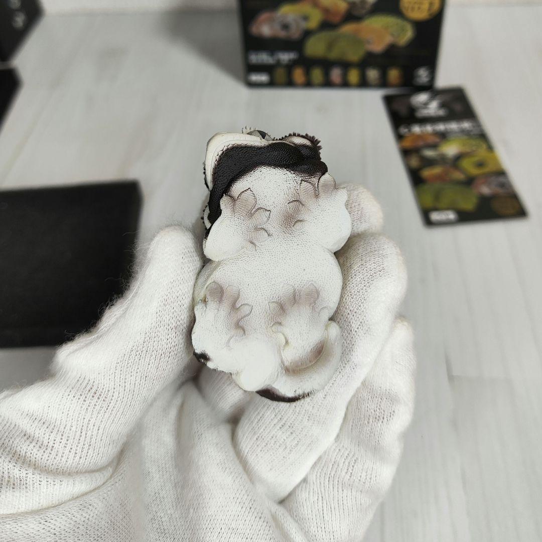 【動物の惑星】スーパーレア!韓国限定リリー&150体限定カエル!! フィギュア