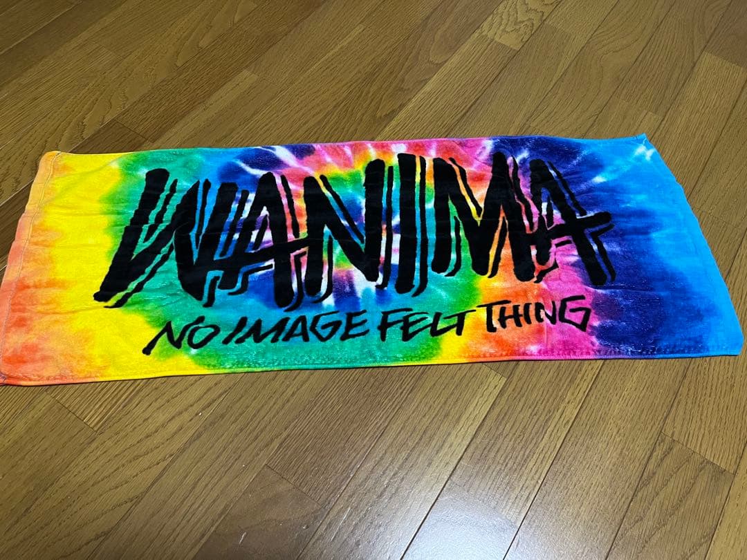 ミュージシャン WANIMA LIVE SET