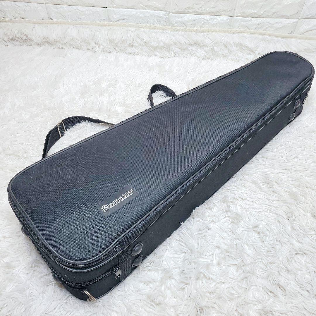 バイオリンケース4/4 イーストマン プロテージ ブラック