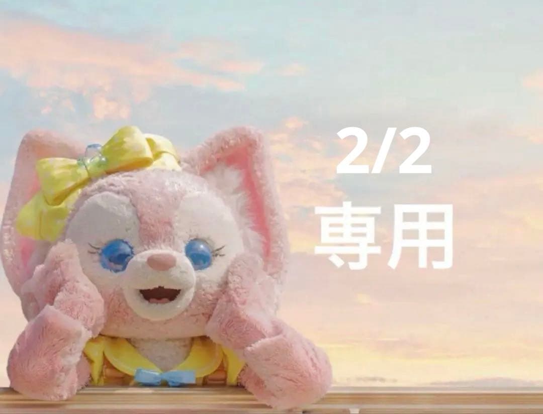 専用ページ
