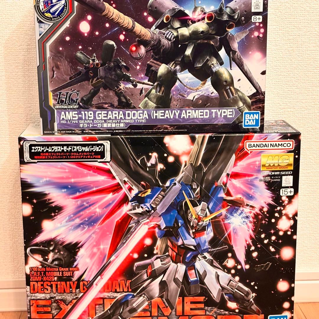 MG デスティニーガンダム HG ギラドーガ 重武装仕様セット