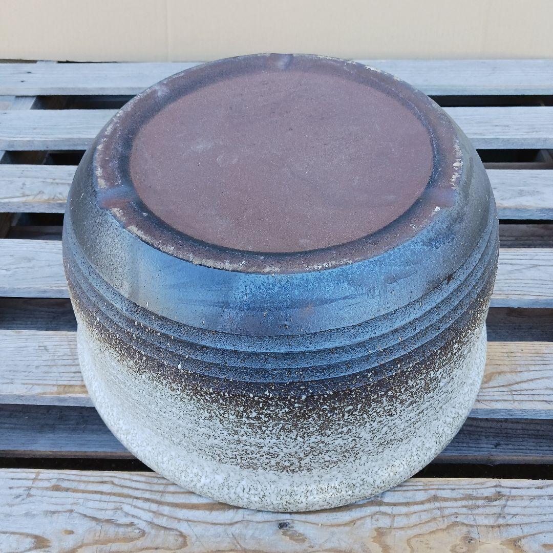 豆助　∅42　2個セット　陶器睡蓮鉢　メダカ鉢　難有　白　ホワイト　MWH