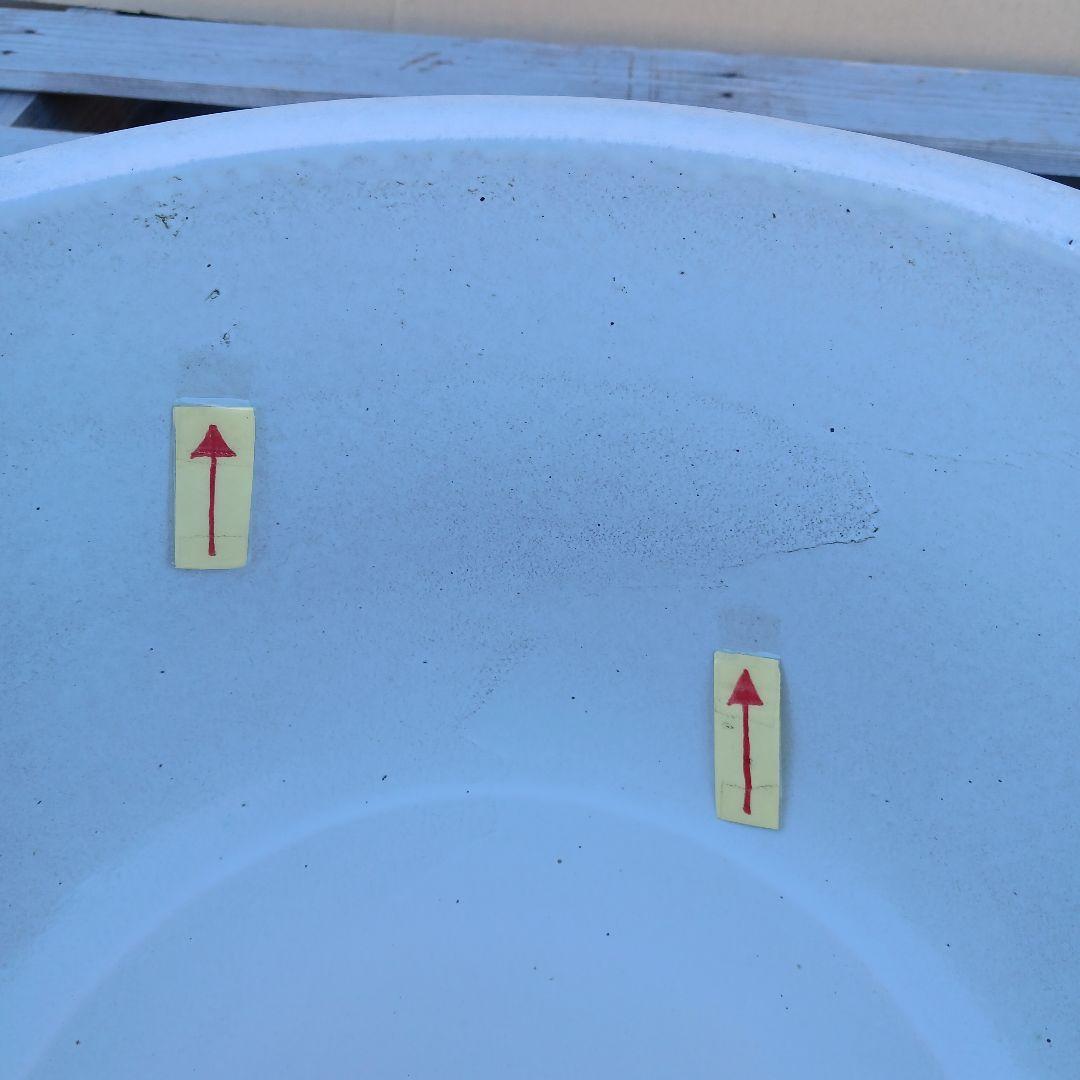 豆助　∅42　2個セット　陶器睡蓮鉢　メダカ鉢　難有　白　ホワイト　MWH