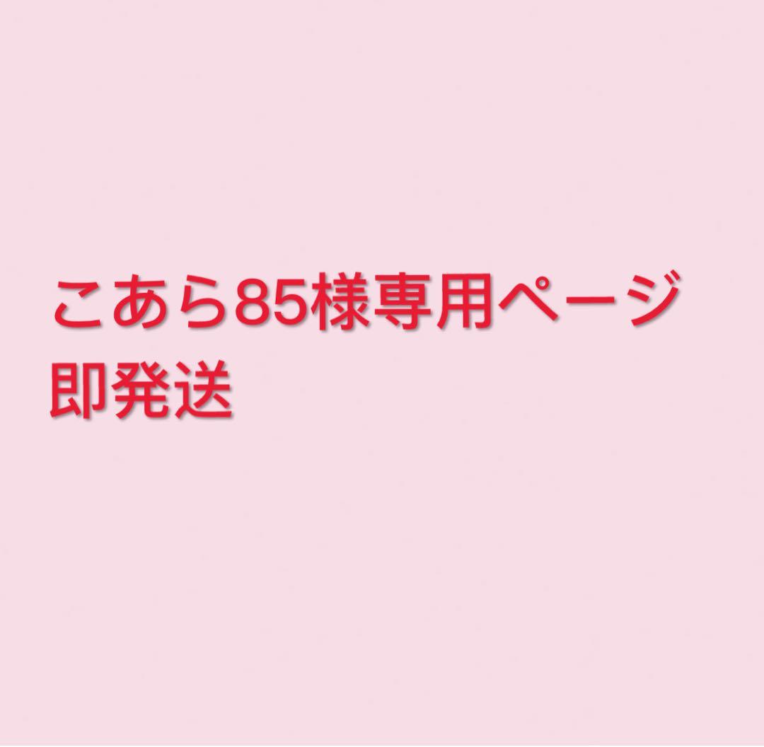 即発送こあら85ページ