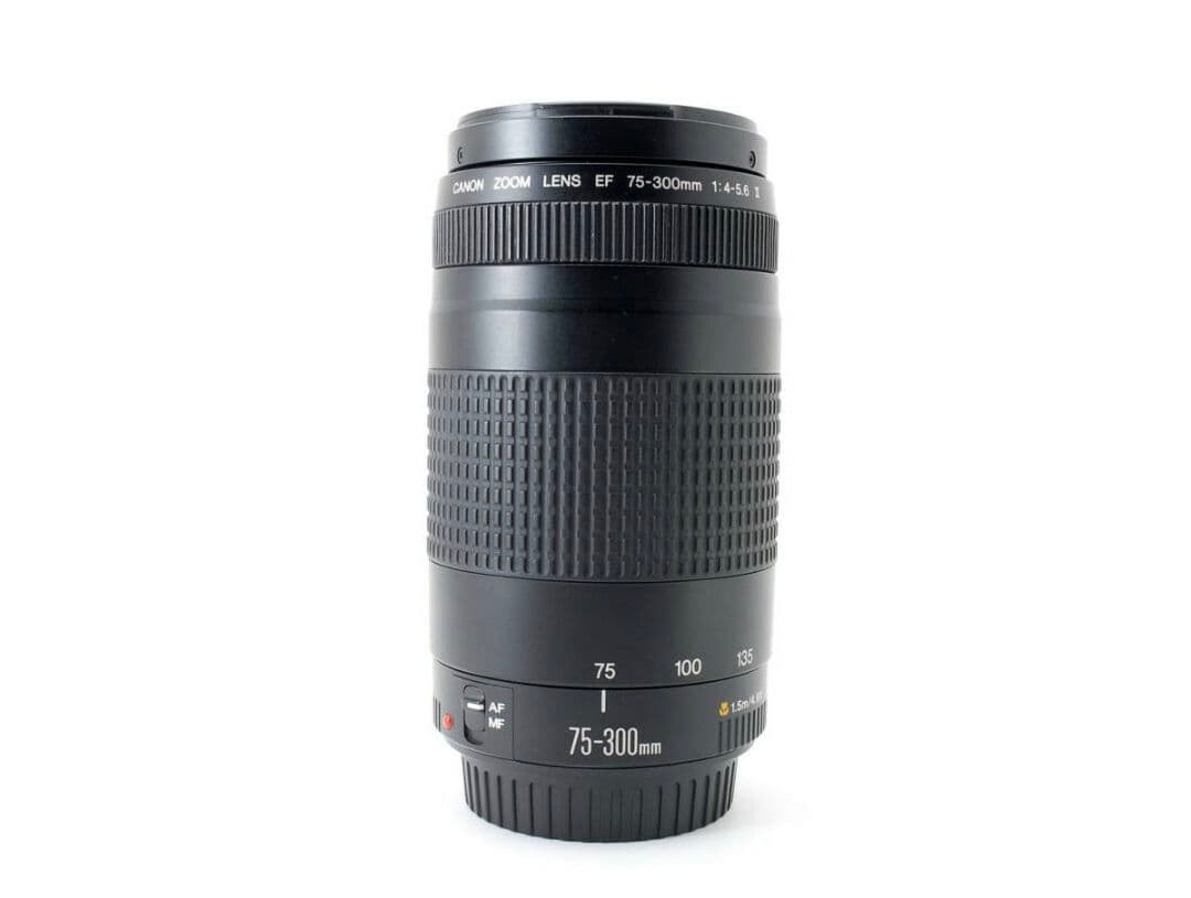 1月11日限定特価♪【超望遠レンズ】Canon EF 75-300mm Ⅱ