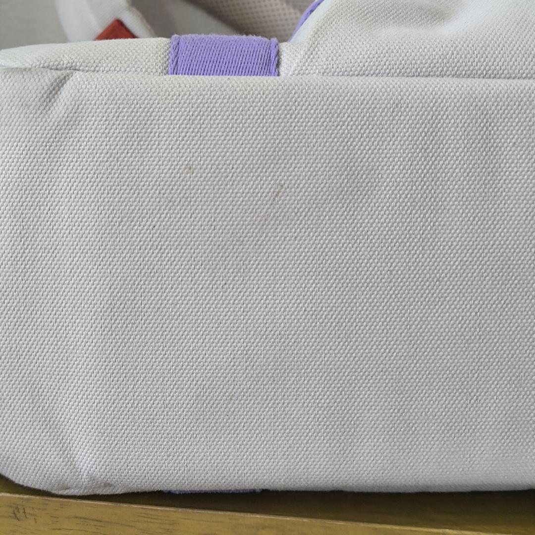 iCANDOR アイキャンダー キャリーバッグ M クッション付き