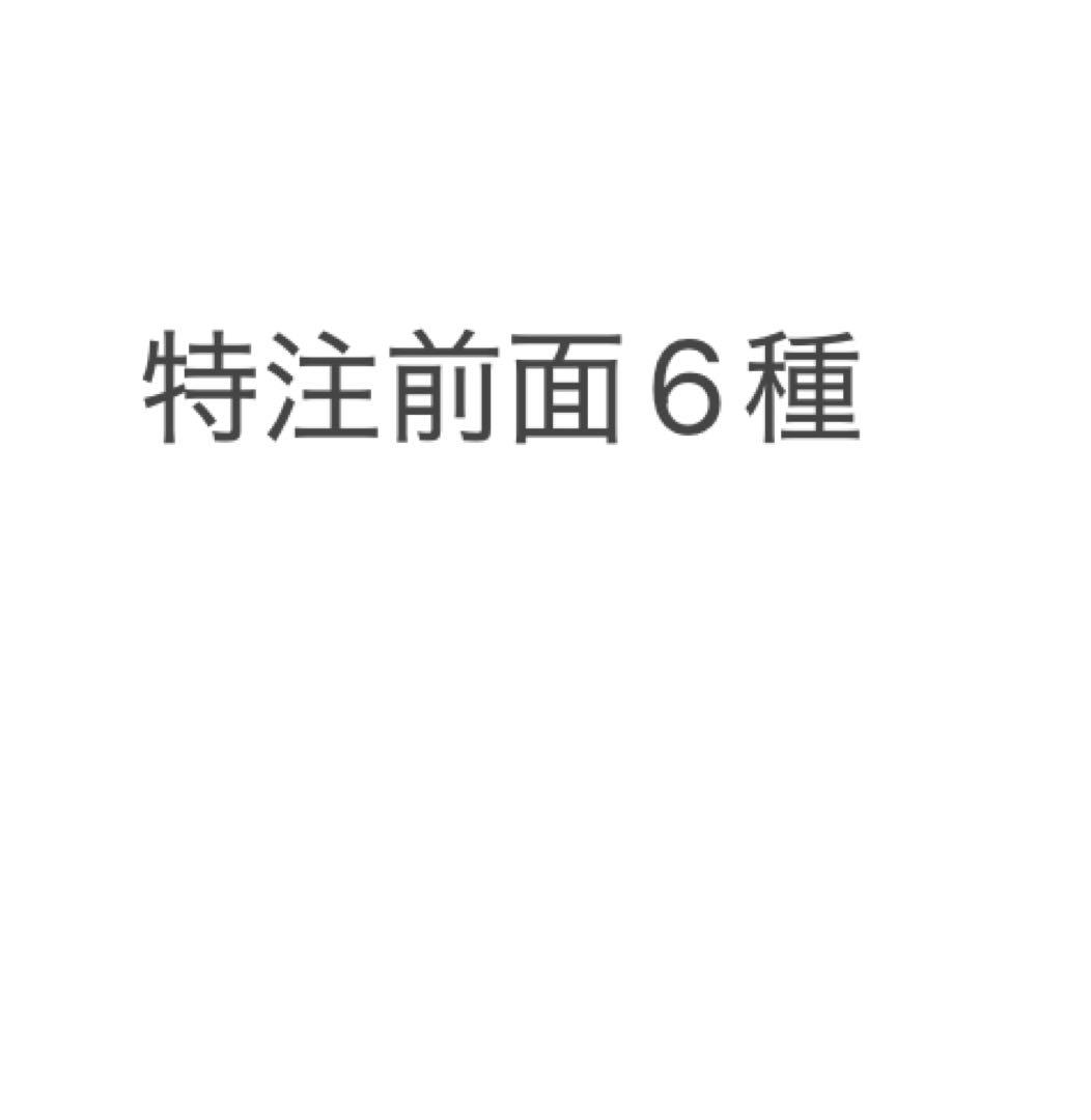 特注前面6種