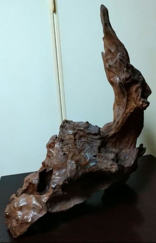 流木 天然木 枯れ木 切り株 オブジェ 床の間 飾り 希少 アート