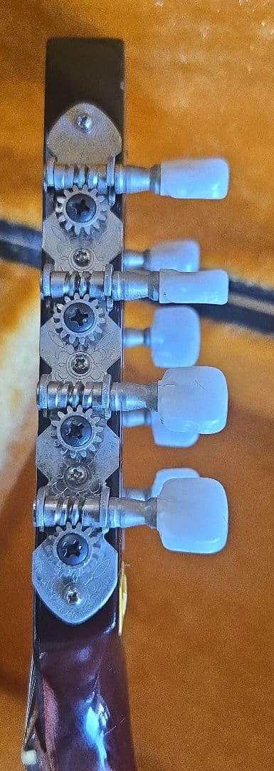 Suzuki M-30 マンドリン 本体 ハードケース付き