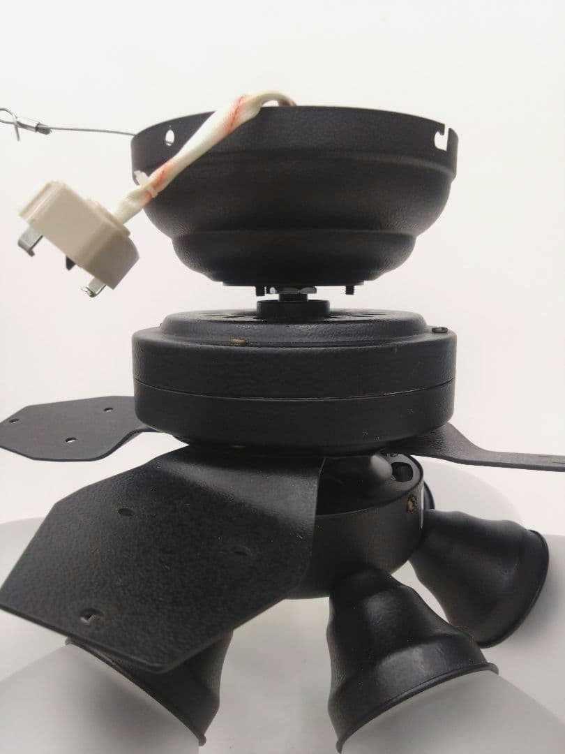 シーリングファン ウィンダブル 6灯 BIG-102 Windouble 阪和