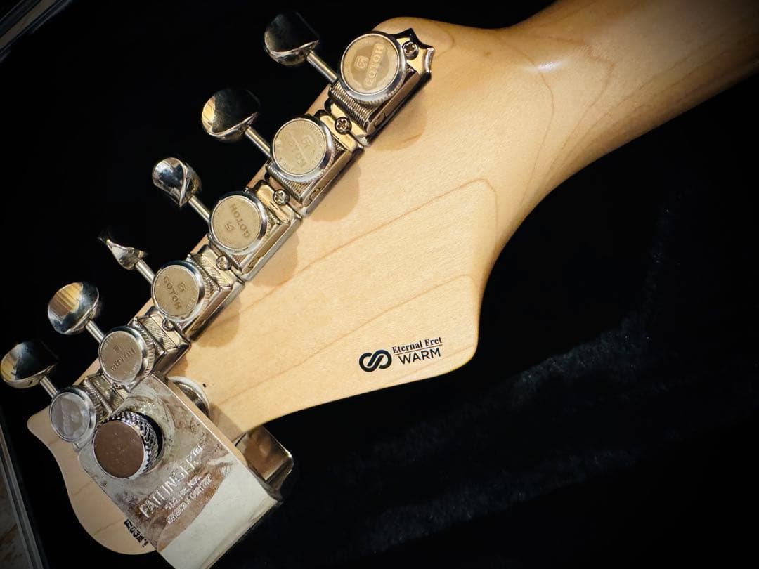 ギター FREEDOM CUSTOM GUITAR RESEARCH EZa 24f