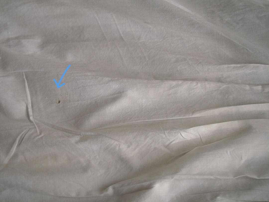 刺繍レースとシェルボタンの部屋着 ナイティ時代衣装 丈111cm /K379