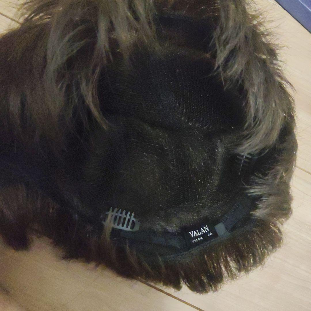 フォンテーヌ　ウィッグ　ＶＭ44 F4