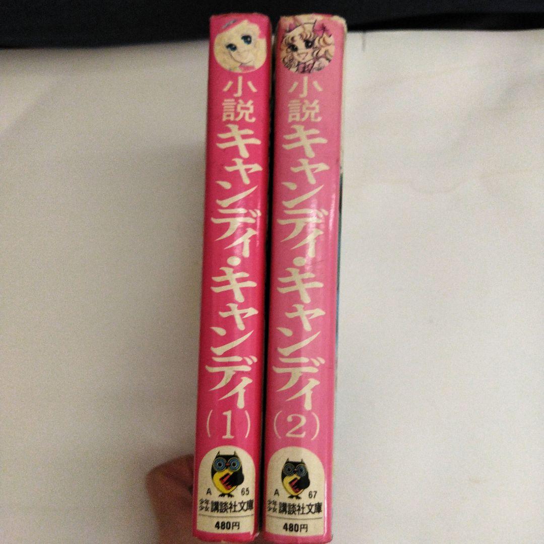 キャンディ・キャンディ小説 1、2セット