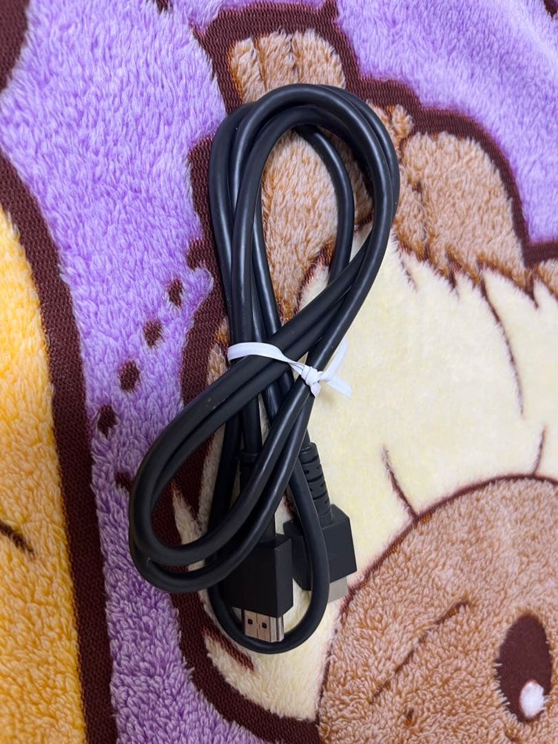 Nintendo Switch ニンテンドースイッチ 箱付