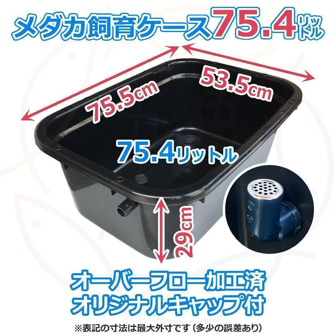 【新仕様】メダカ飼育ケース 75㍑深緑x5個 オーバーフロー対策済 金魚飼育容器