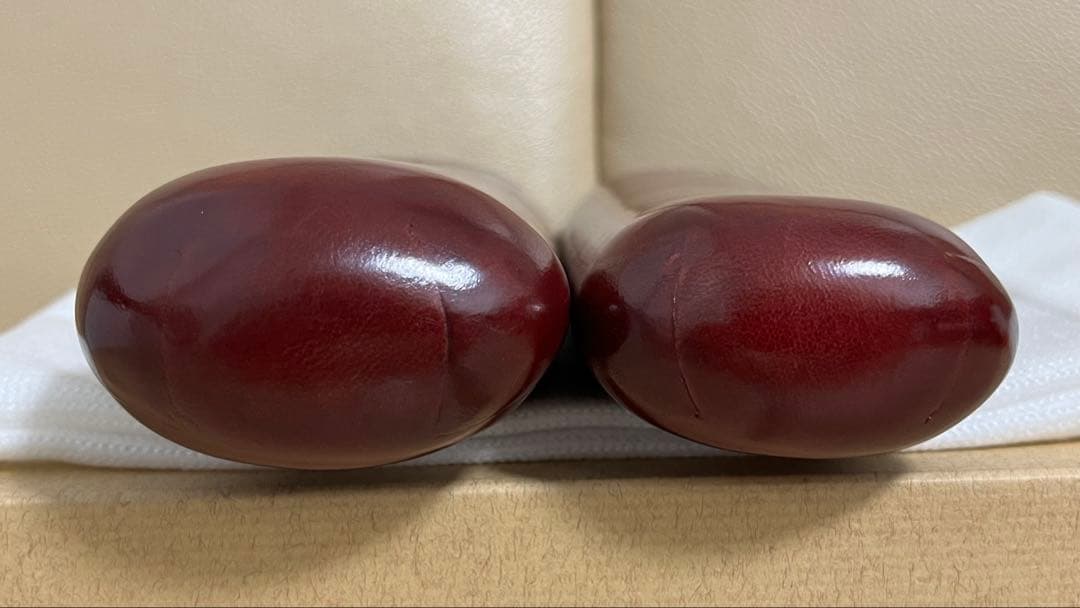 GANZO ワインレッド眼鏡・ペンケース