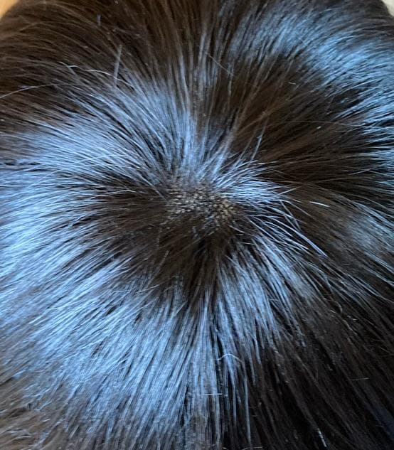 ちゃっぴー　 私元気ウィッグ「大人レイヤーショート」ナチュラルブラック　M