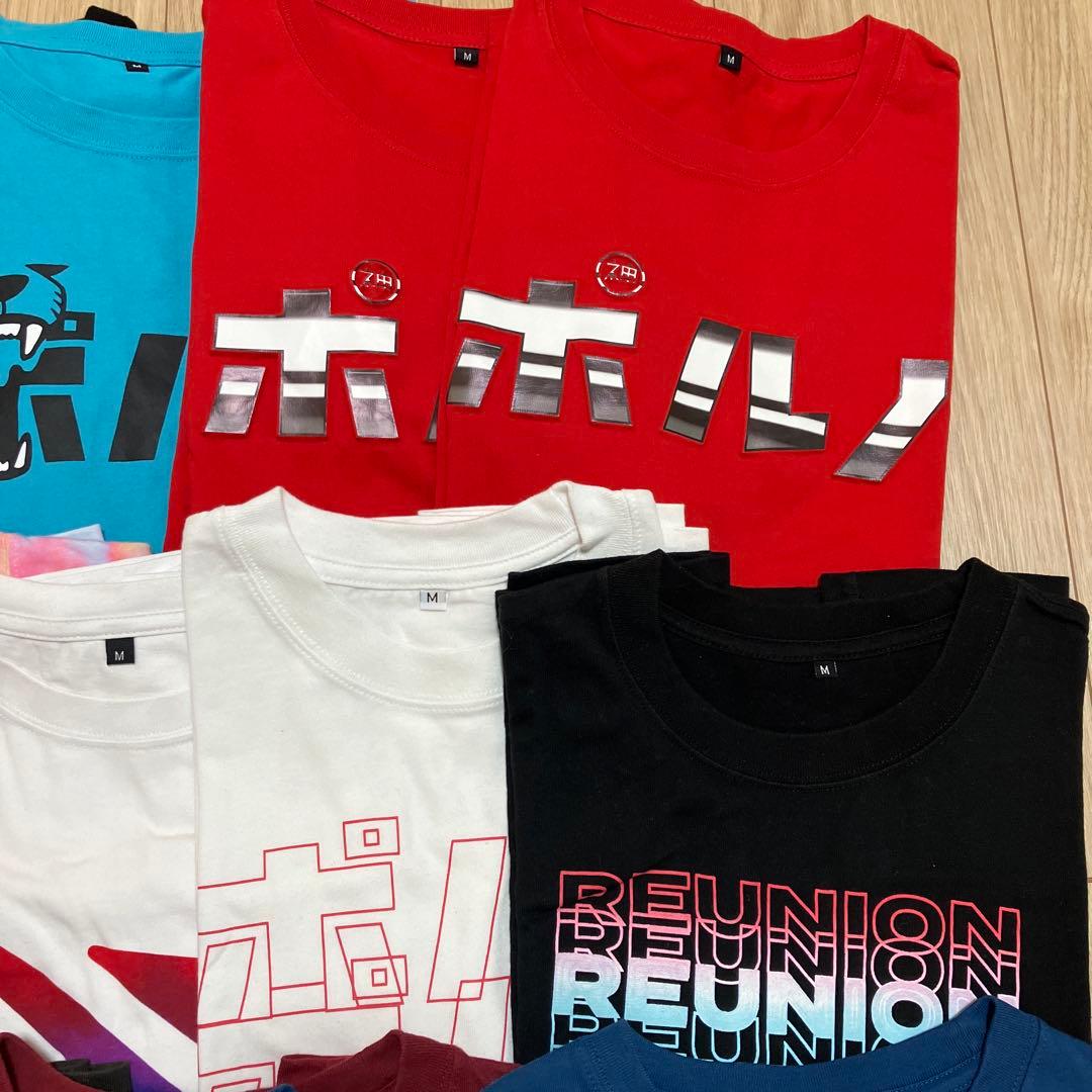 ポルノグラフィティ　Tシャツ16枚セット