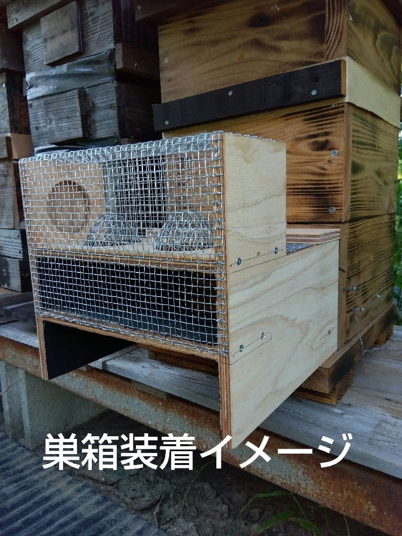スズメバチトラップ ２個売り