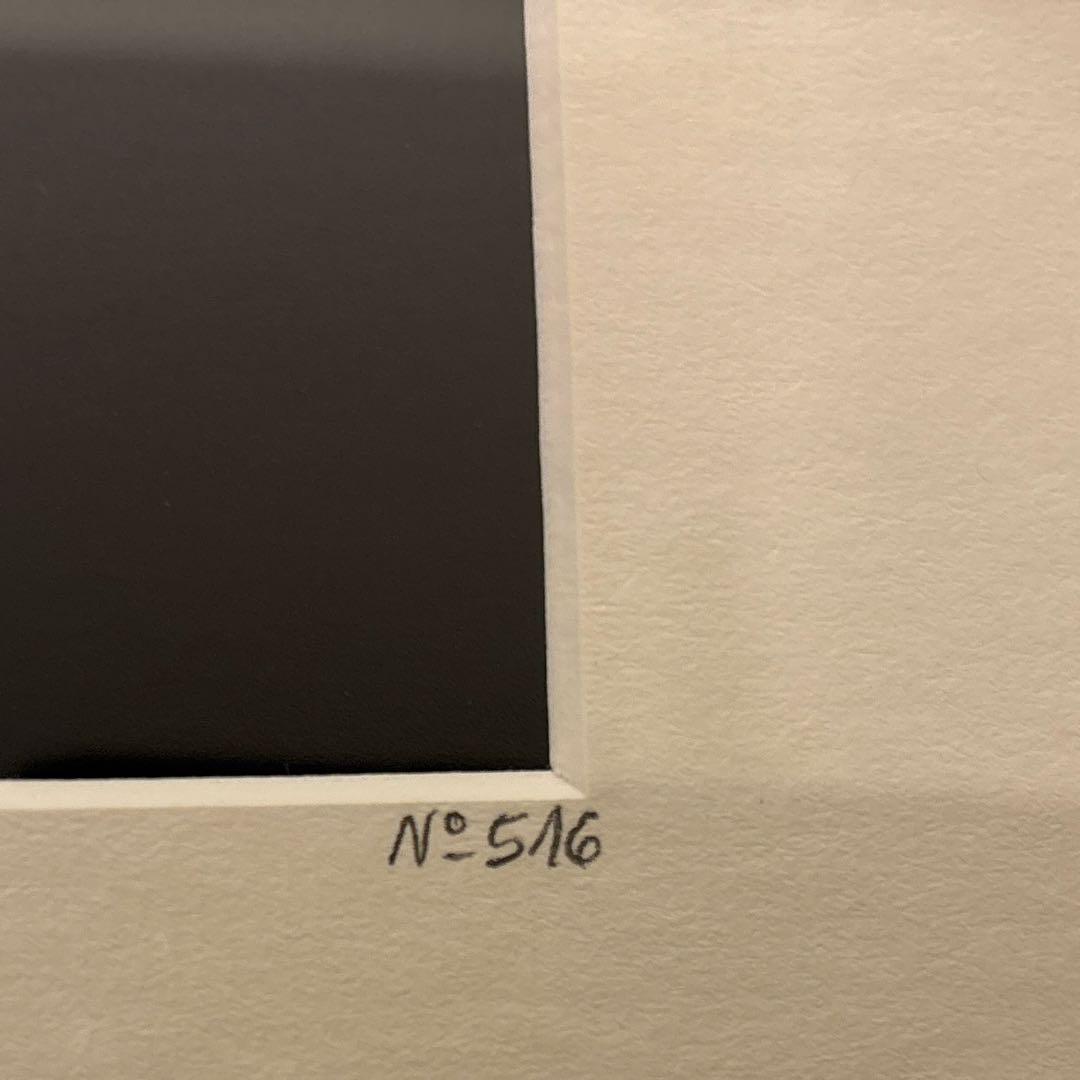 YELLOWKORNER No.516フォトアート SKYDIVE