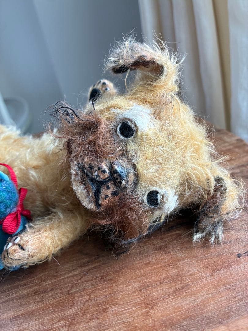 渡辺利絵　アーティストペア　ブリュッセルグリフォン