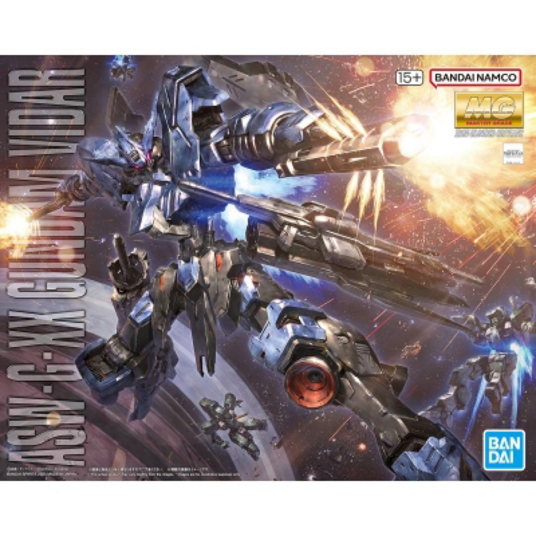 MG 1/100 ASW-G-XX ガンダム ヴィダール