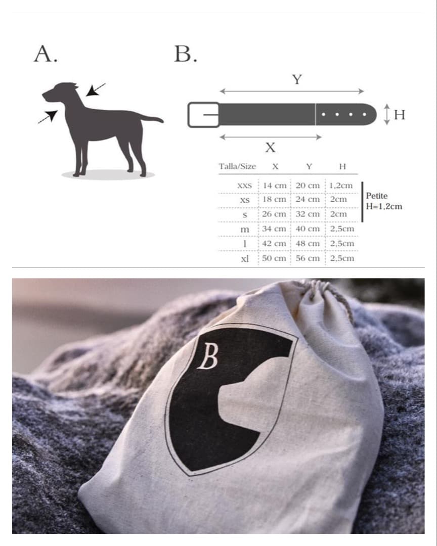 スペイン製 高級犬用リードと首輪セットBaseball Red（小型犬 中型犬）