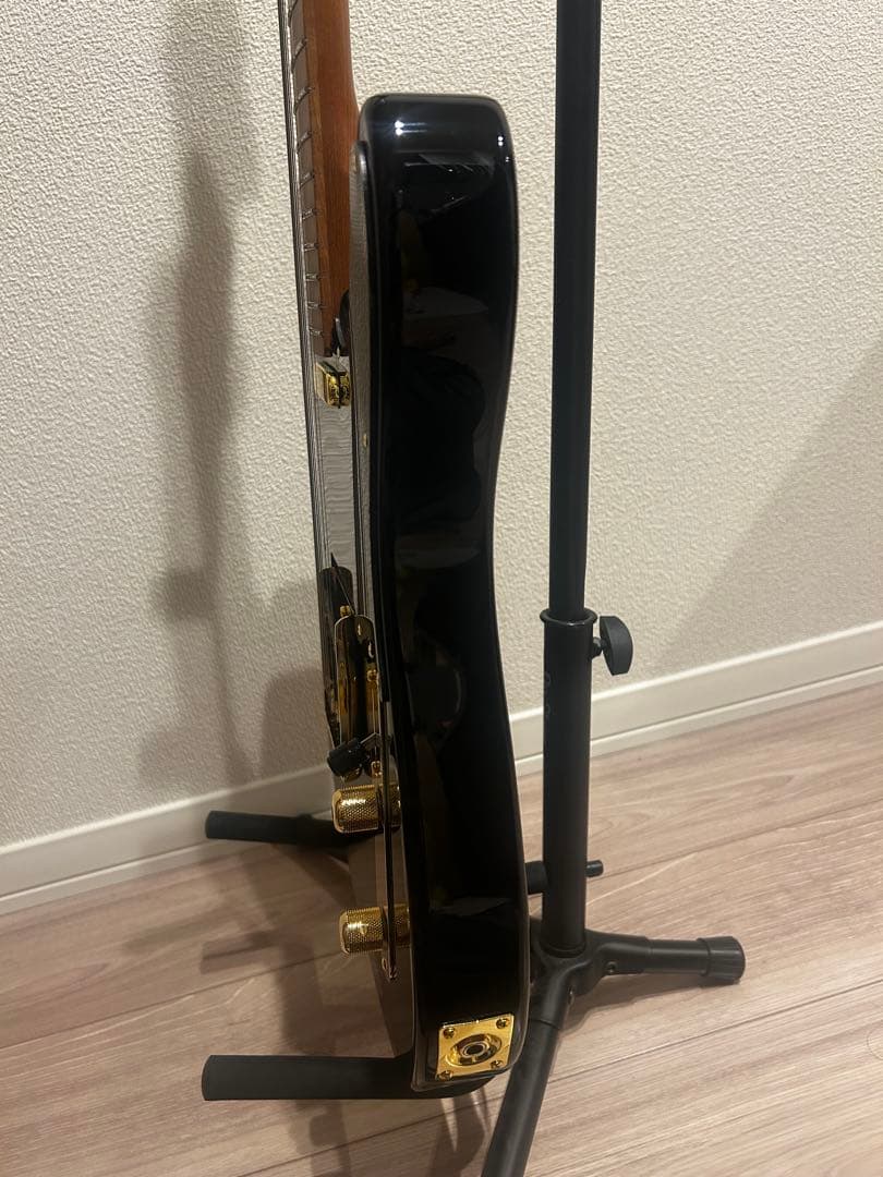 Bacchus BTE-1DX RSM MOD テレキャスター suhr