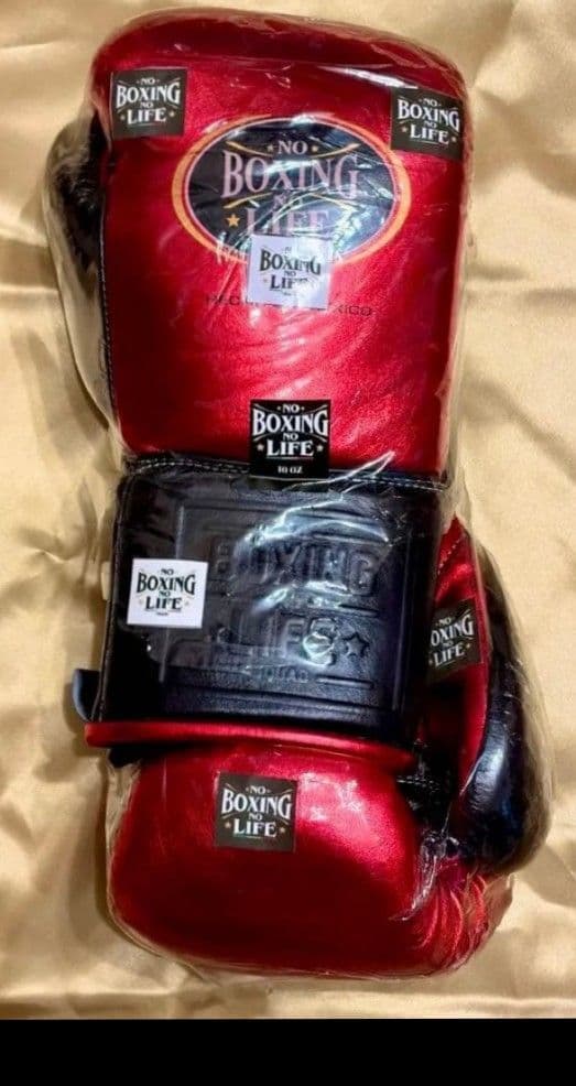 ボクシンググローブ　新品未使用 No Boxing No Life　10oz