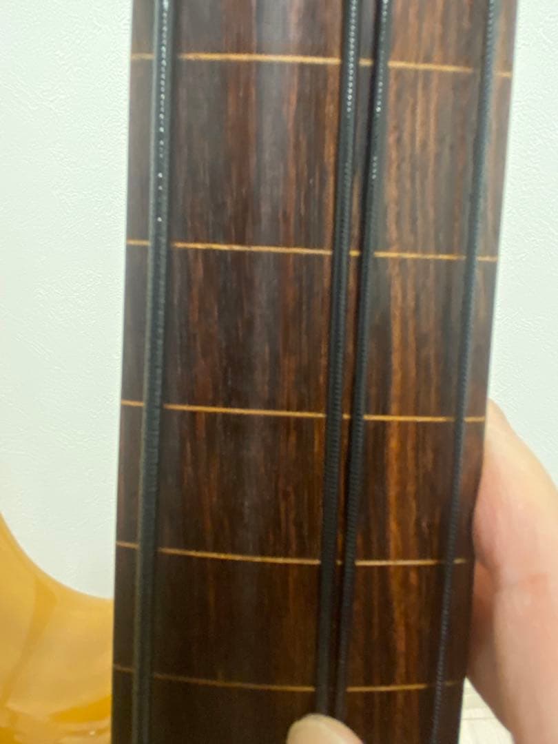 G&L L2000 tribute custom フレットレス