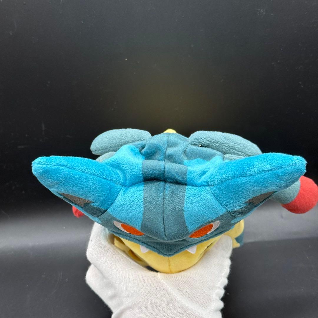 極美品 メガルカリオのポンチョを着たピカチュウ