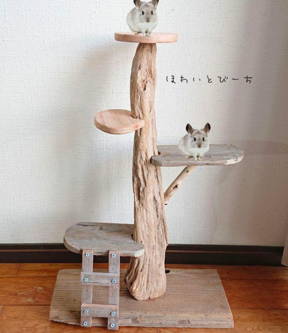 チンチラ流木タワー・No.①