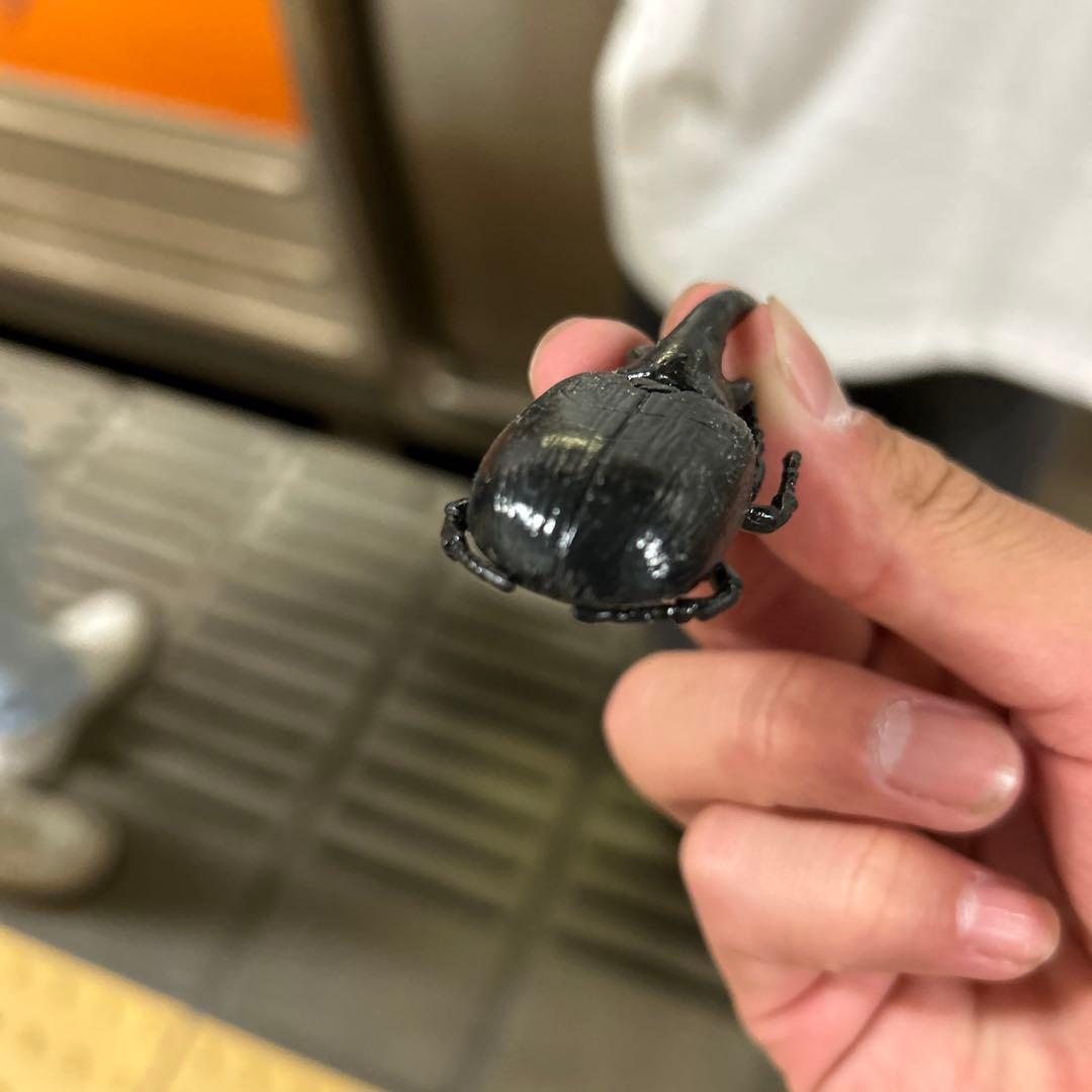 カブトムシ