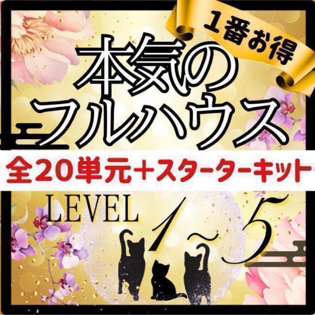 石井あさかページ