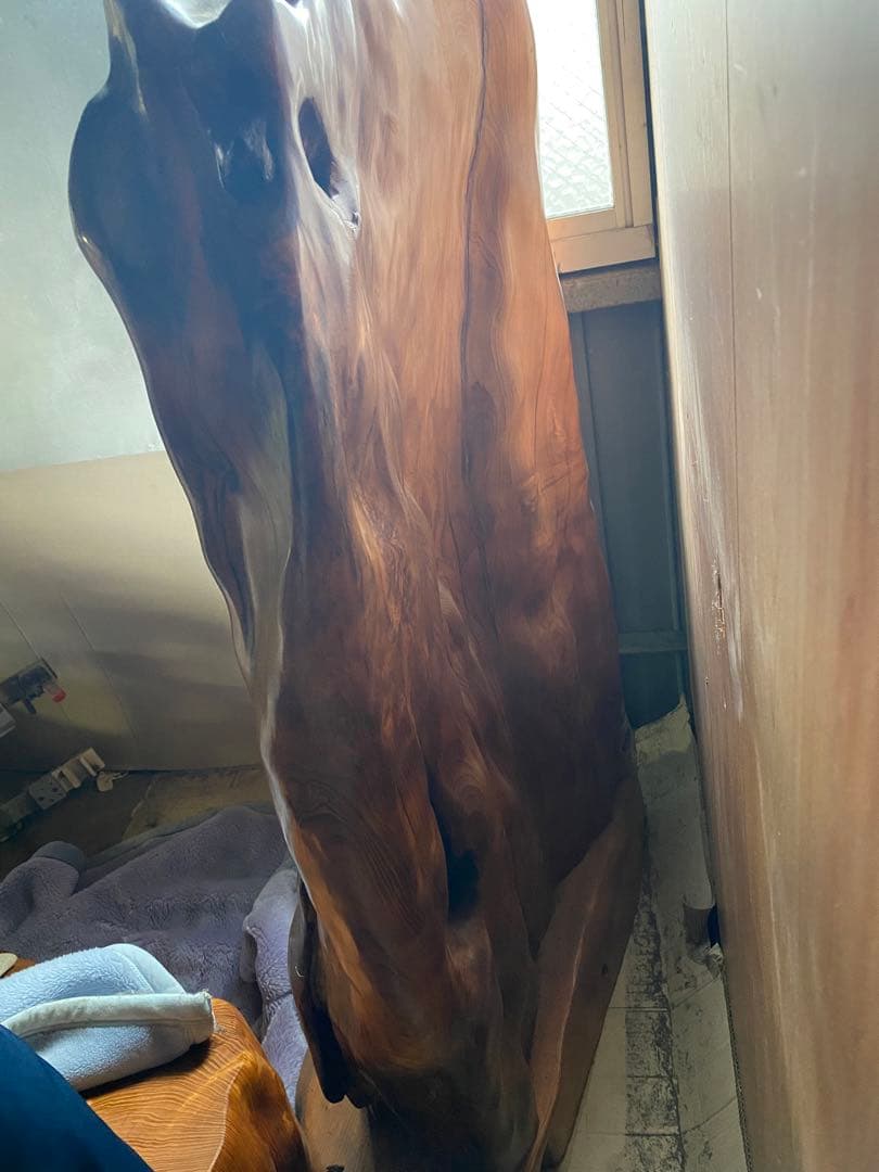 屋久杉 装飾品