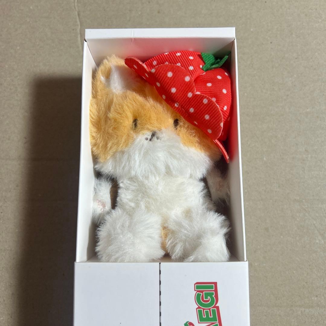 ベッキョン TEOLAEGI トレギ　10cm いちご