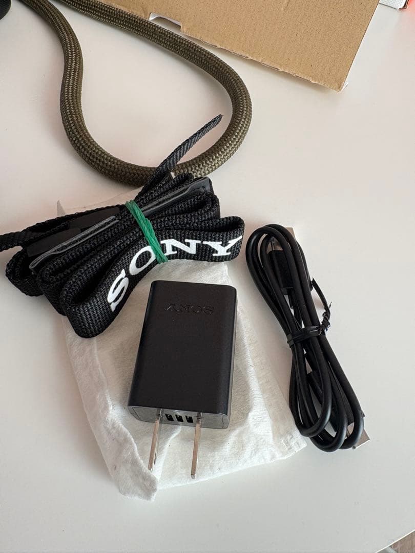 SONY ZV-E10 本体