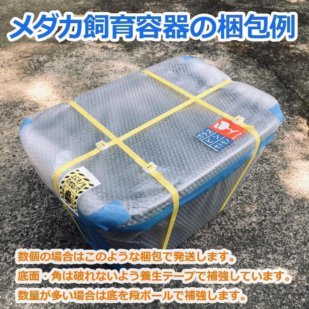 メダカ飼育ケース 36㍑x4個（4色あり）オーバーフロー対策済 金魚鉢ビオトープ