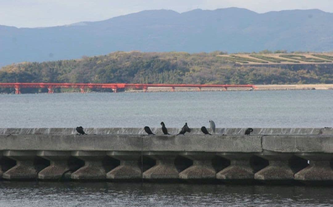 CANON　EOS　20D ダブルレンズ　一眼レフ⚡️キャノン⚡️望遠　初心者