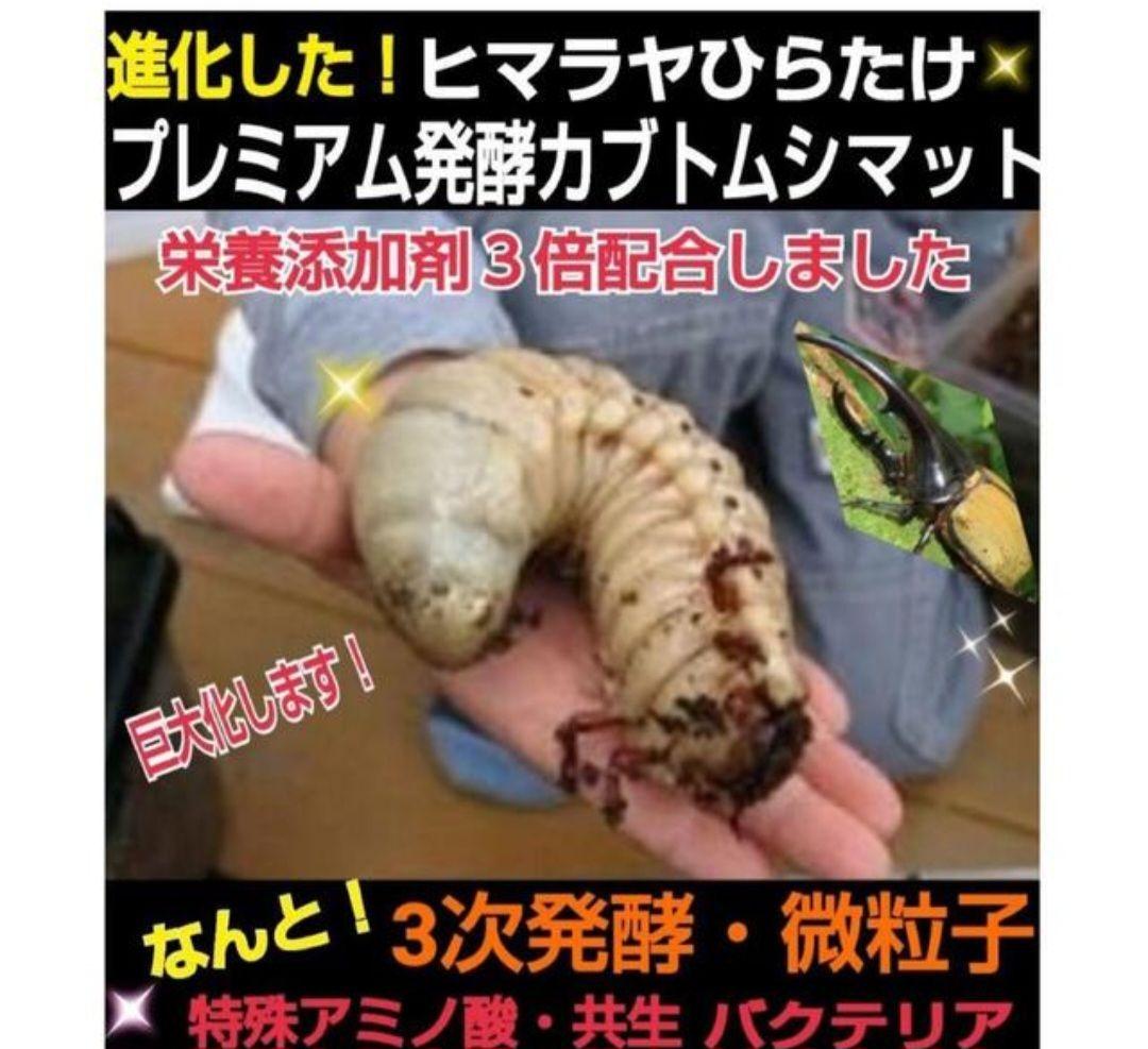 ヘラクレスが大きくなります！プレミアム3次発酵マット【60L】180ミリ羽化実績
