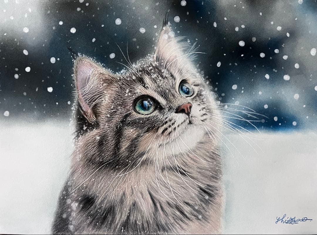 満天の雪 色鉛筆画 パステル