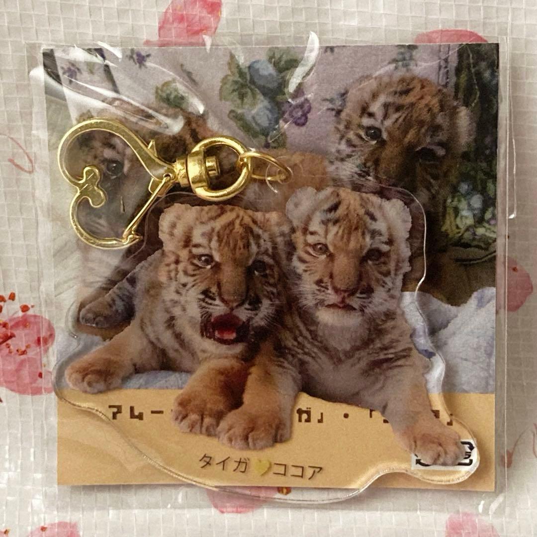 ★釧路市動物園　ココアちゃん