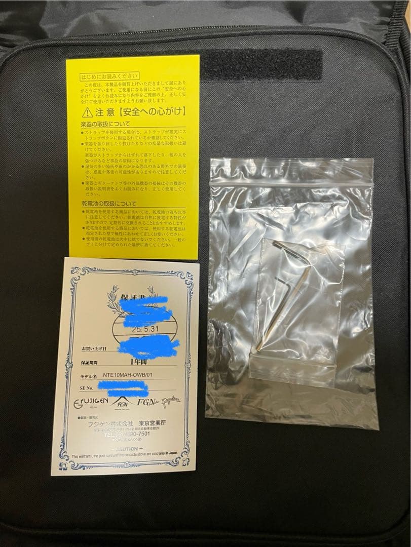 フジゲン　テレキャスター