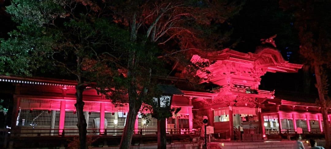 諏訪大社　秋宮限定　短期間数量限定　開催期間連続日付　夏詣御朱印8種セット